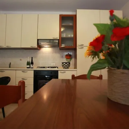 Apartment Oasis Close To The Center